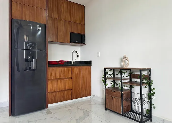 "luxury Gaia Apartment" - Fast Wi-fi Apartment Playa del Carmen